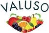 Valuso logo